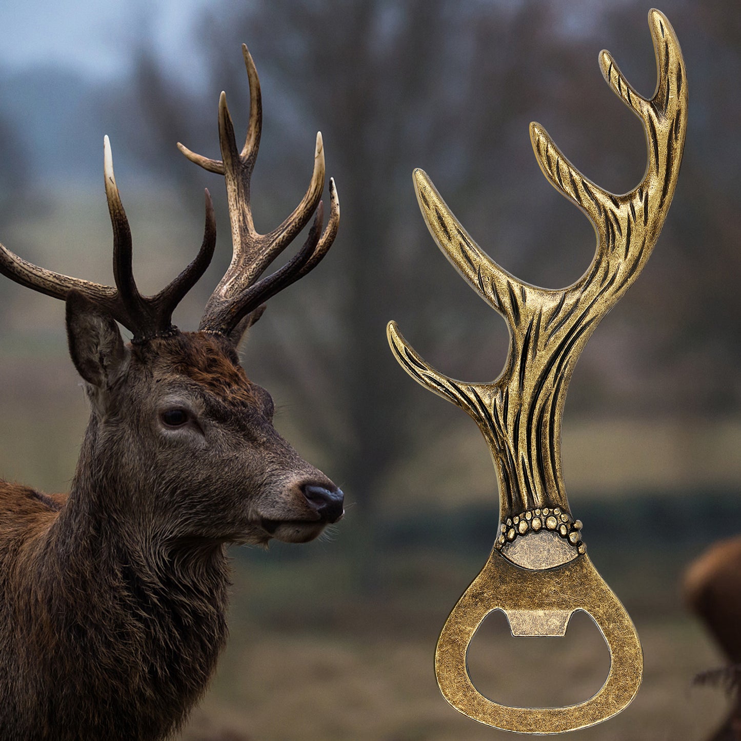Antler-shaped bottle opener for beer nights and BBQs