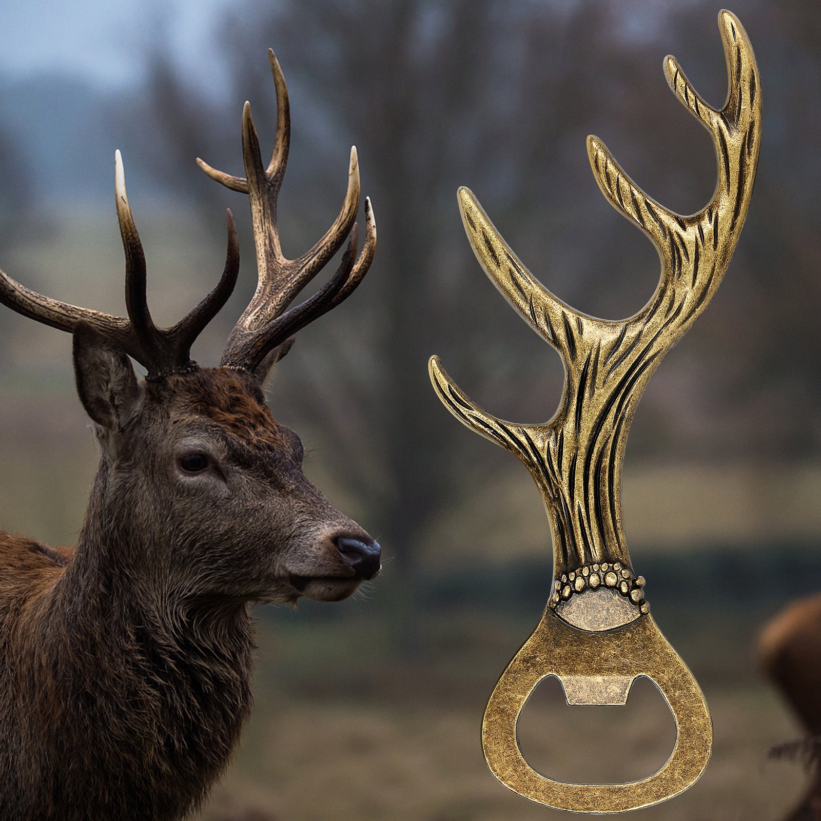 Antler-shaped bottle opener for beer nights and BBQs